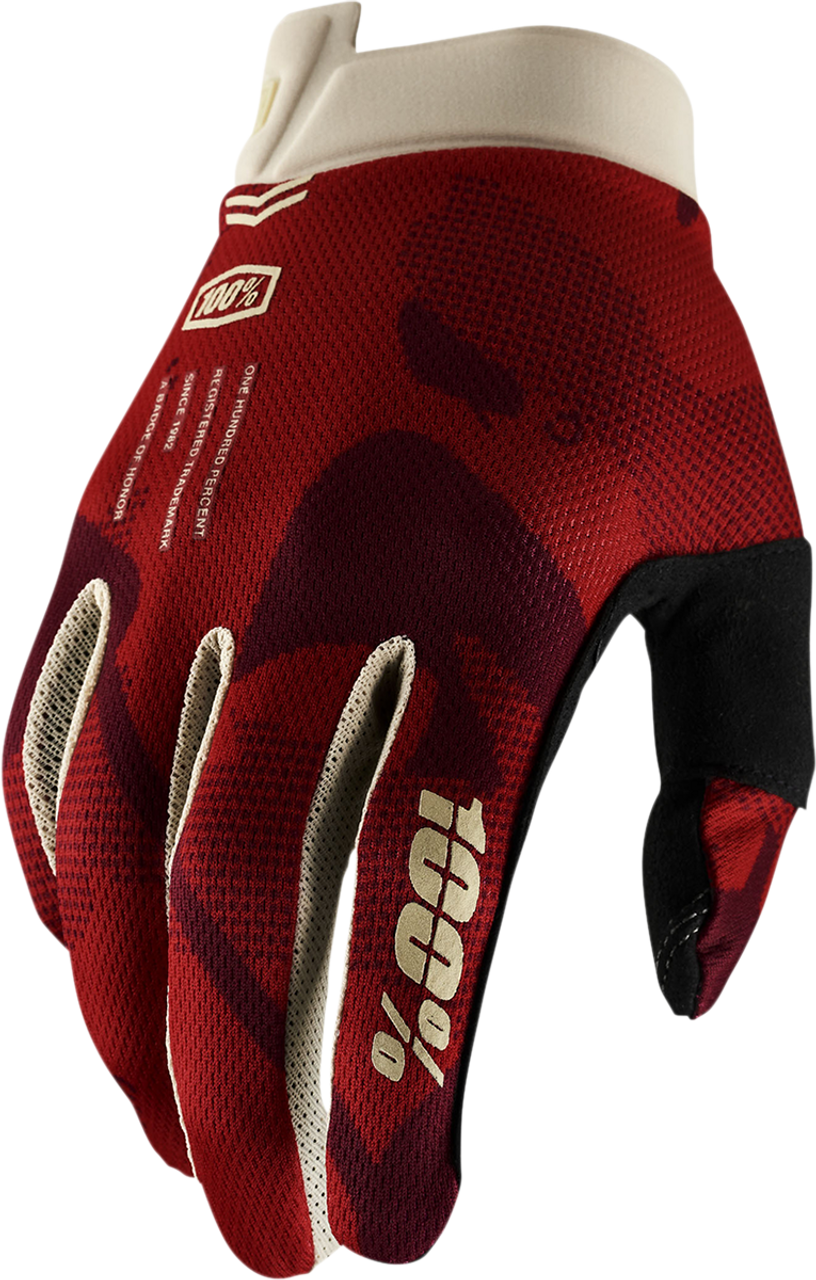 100% iTrack Gloves - Terra - XL 10008-00028