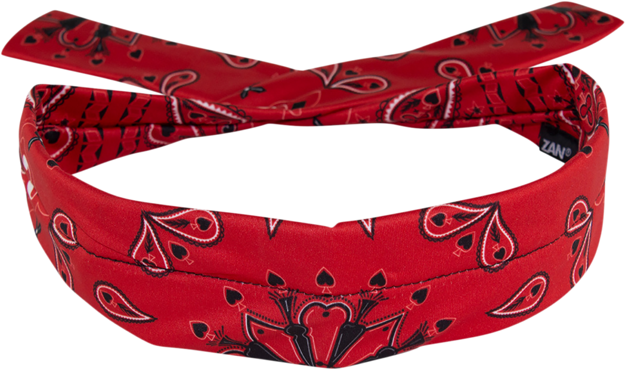 ZAN HEADGEAR Polyester Cooldanna‚® - Red Paisley DP106