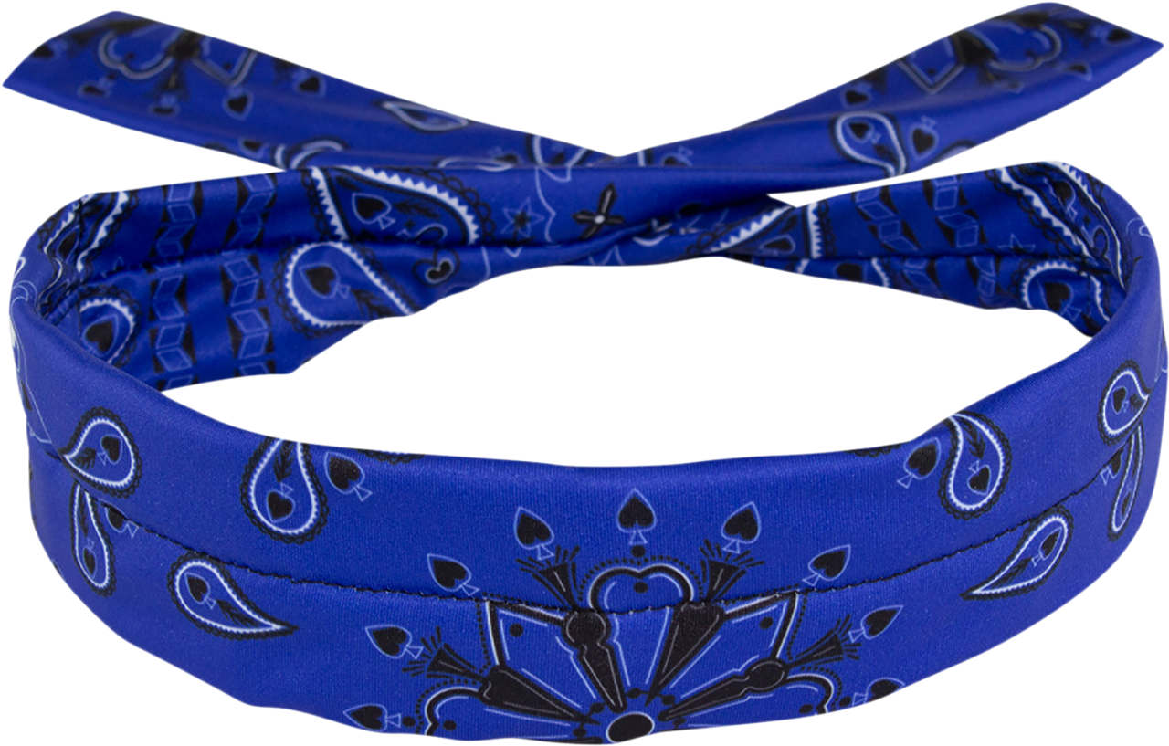 ZAN HEADGEAR Polyester Cooldanna‚® - Blue Paisley DP111
