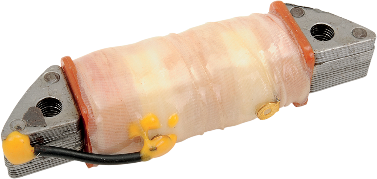 WSM Exciting Coil - Kawasaki 004-162