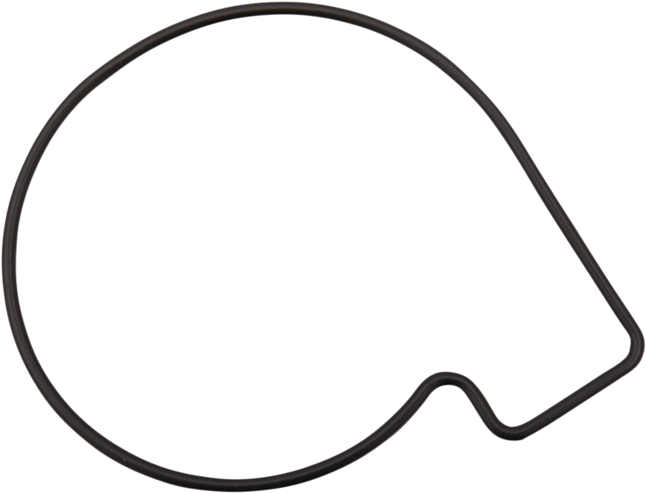 JAMES GASKET Water Pump Body Seal ST-26600017